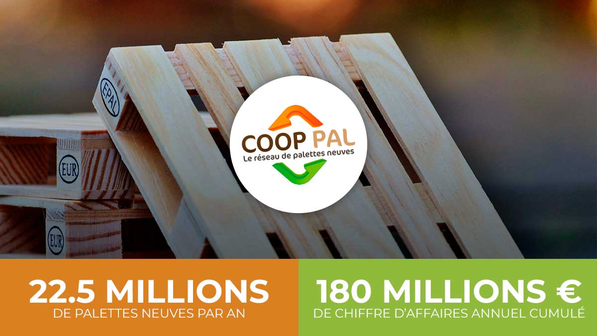 Archives des Standards COOP PAL